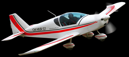 雄名 輕型飛機(jī)